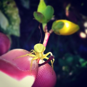 Could this have been the inspiration for Elrick?