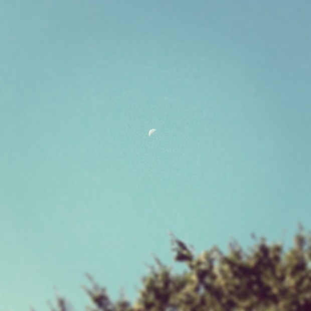 The summer moon - who's up there? Who's visiting?