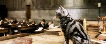 McGonagall might be an animagus, but her cat never talks.
